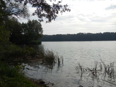 Lehnitzsee_09