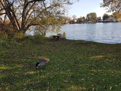 Mauerradweg Hennigsdorf 4117_17