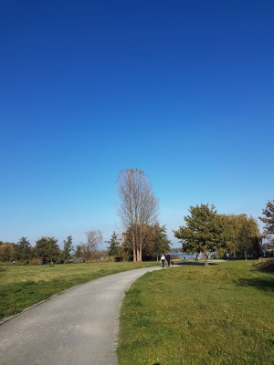 Mauerradweg Hennigsdorf 4117_18