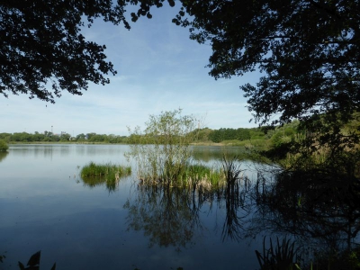 Am Wasserwerk Hennigsdorf 2317_07