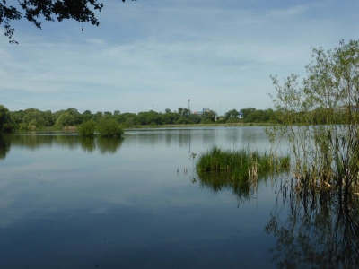 Am Wasserwerk Hennigsdorf 2317_08