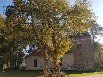 Dorfkirche Nieder Neuendorf 4117_05