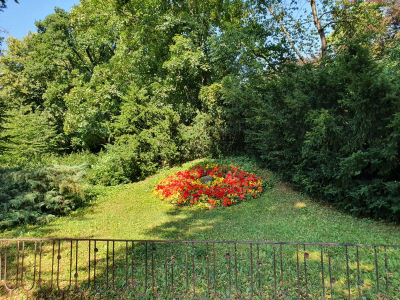 Lindengarten Wismar 2821