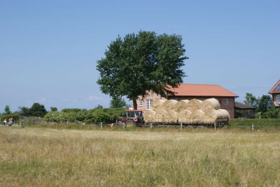 Ferienwohnung Kracht Kap Arkona Rügen_05