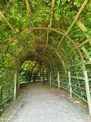 Schlossgarten 2821_23