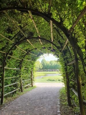 Schlossgarten 2821_24