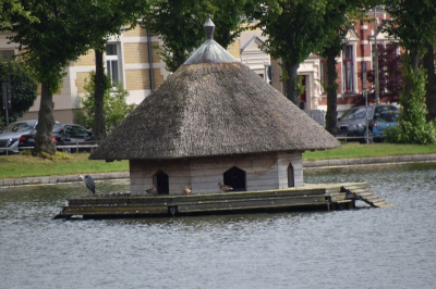 Pfaffenteich 2821_06