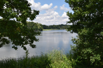 Schweriner See 2821_11