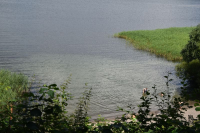 Schweriner See 2821_19