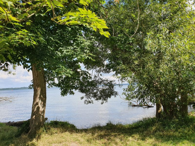 Schweriner See 2821_31