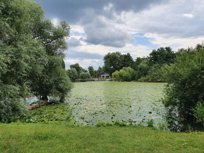 Schweriner See 2821_32