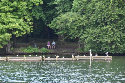 Schweriner See 2821_45
