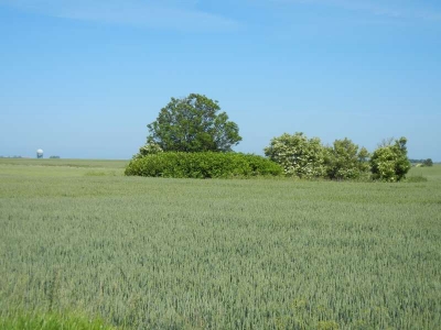 Radweg  Kap Arkona Rügen_44