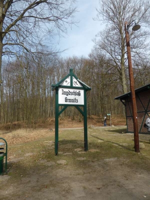 Buchenwald Granitz 1316_07