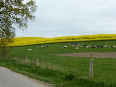 Radweg Bützow-Schwaan1814