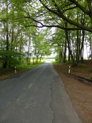 Radweg Bützow-Schwaan1814_07