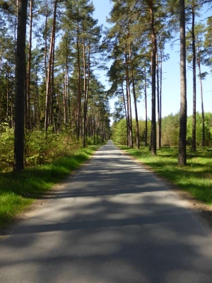Radweg Jabel-Linstow1814_09