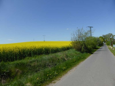 Radweg Krakow-Güstrow1814_06