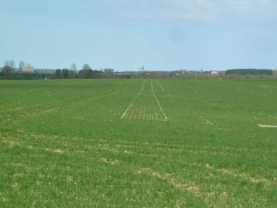 Radweg Prenzlau-Pasewalk_07