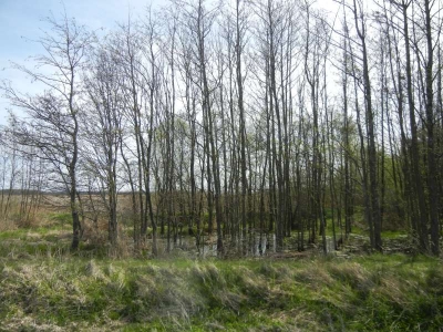 Radweg Bugewitz-Karnin Stettiner Haff_03