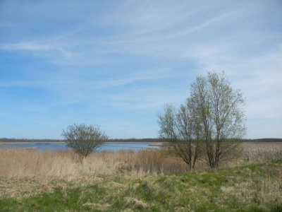 Radweg Bugewitz-Karnin Stettiner Haff_05