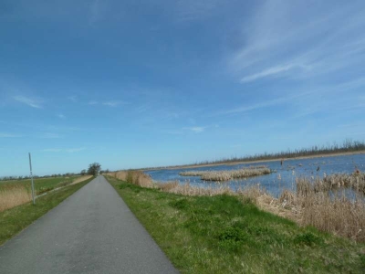 Radweg Bugewitz-Karnin Stettiner Haff_17