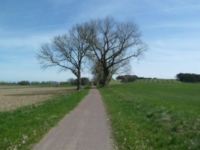 Radweg Usedom Stadt-Korswandt_03