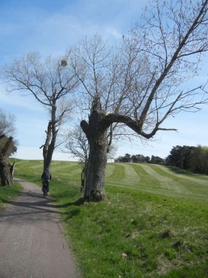 Radweg Usedom Stadt-Korswandt_06