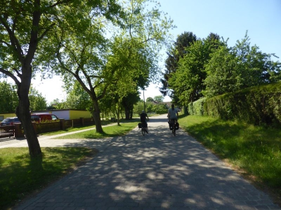 Ahlbeck 317_07