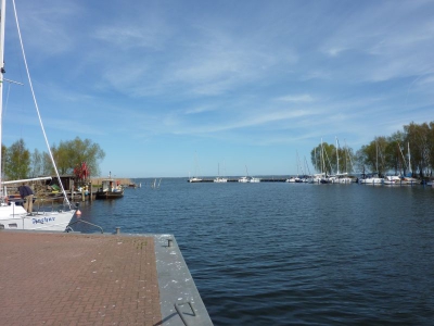 Radweg Ueckermünde-Bugewitz_09