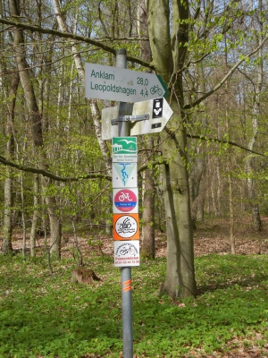 Radweg Ueckermünde-Bugewitz_13