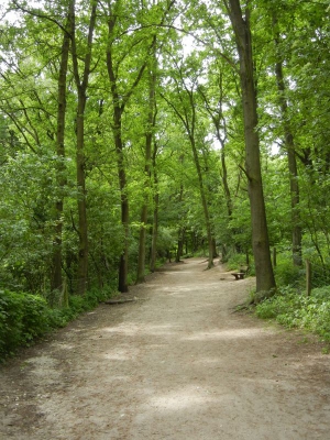 Grunewaldsee_08