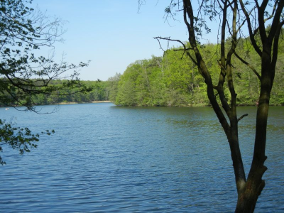 Krumme Lanke Berlin Zehlendorf_06