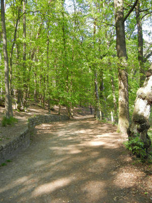 Krumme Lanke Berlin Zehlendorf_07
