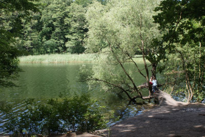Krumme Lanke Berlin Zehlendorf_24