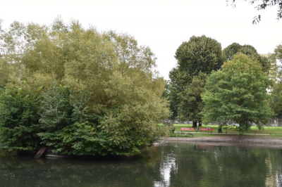 Gemeindepark 4021_11