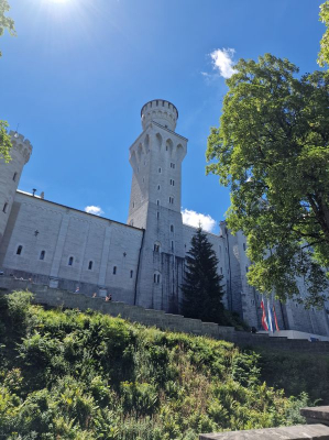 Schloss Neuschwanstein 2622_13