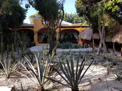 Agave 2017