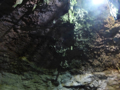 Cenote Tankach Ha 2017_09