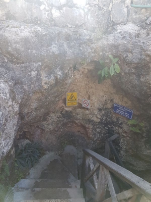 Cenote Tankach Ha 2017_13