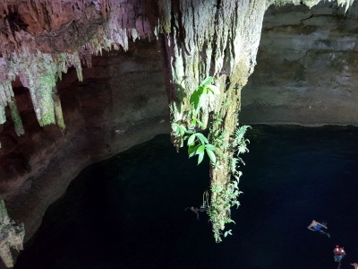 Cenote Tankach Ha 2017_16