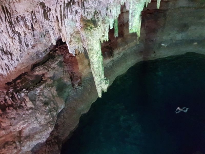Cenote Tankach Ha 2017_17