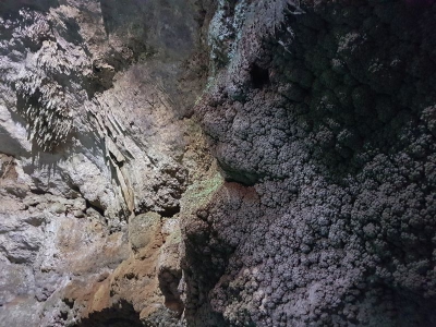 Cenote Tankach Ha 2017_26
