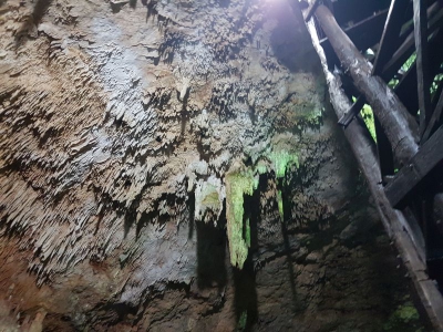 Cenote Tankach Ha 2017_27