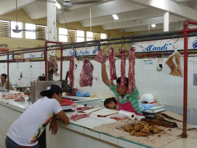Markt Valladolid 2017_09