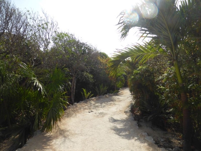 Ausgrabungsstätte Tulum 2017_06