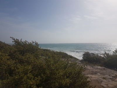 Ausgrabungsstätte Tulum 2017_10