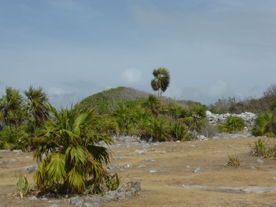 Ausgrabungsstätte Tulum 2017_45