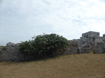 Ausgrabungsstätte Tulum 2017_51