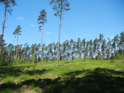 Radweg Canow-Wesenberg1814_20